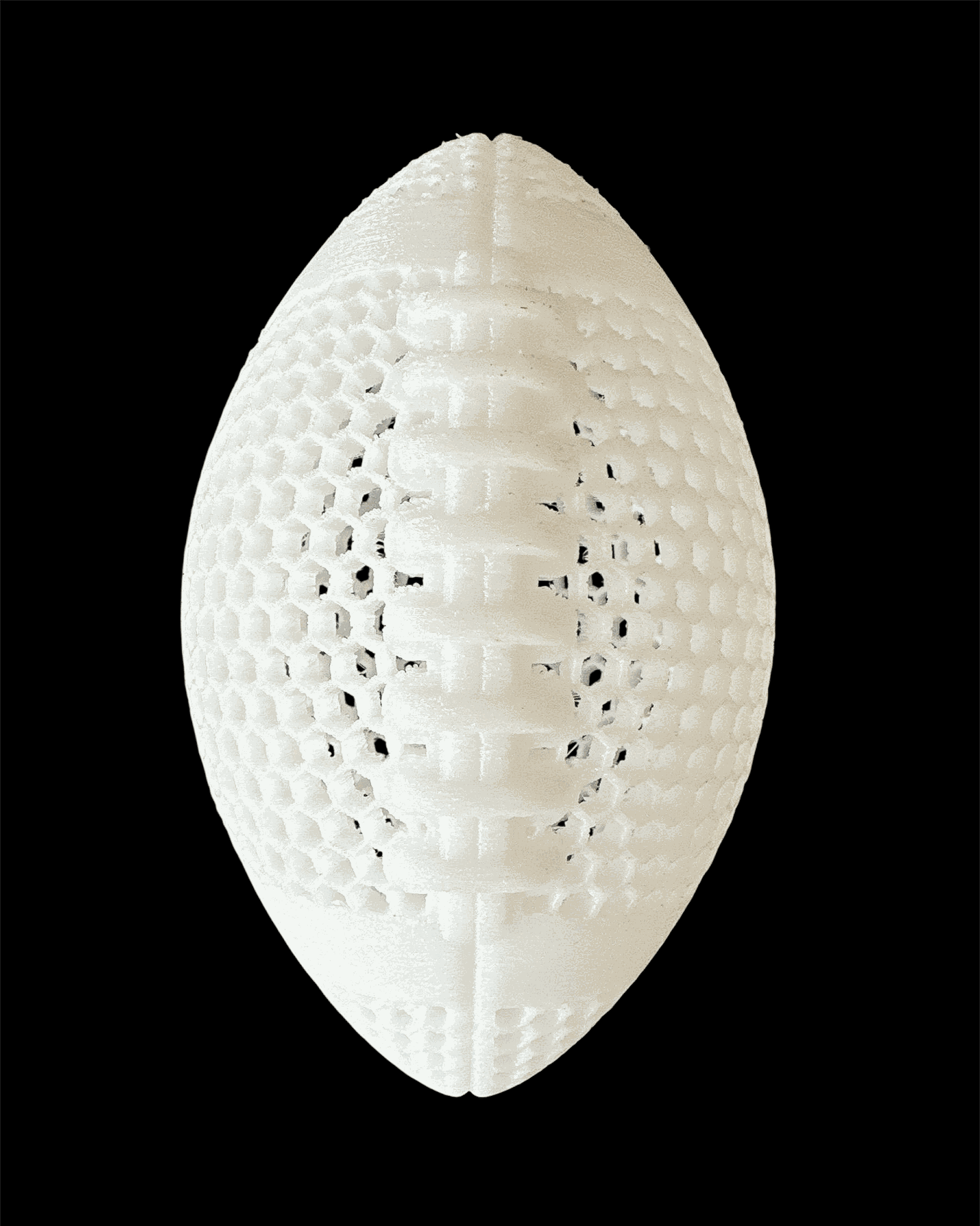 🏈 3D Printed Airless Football