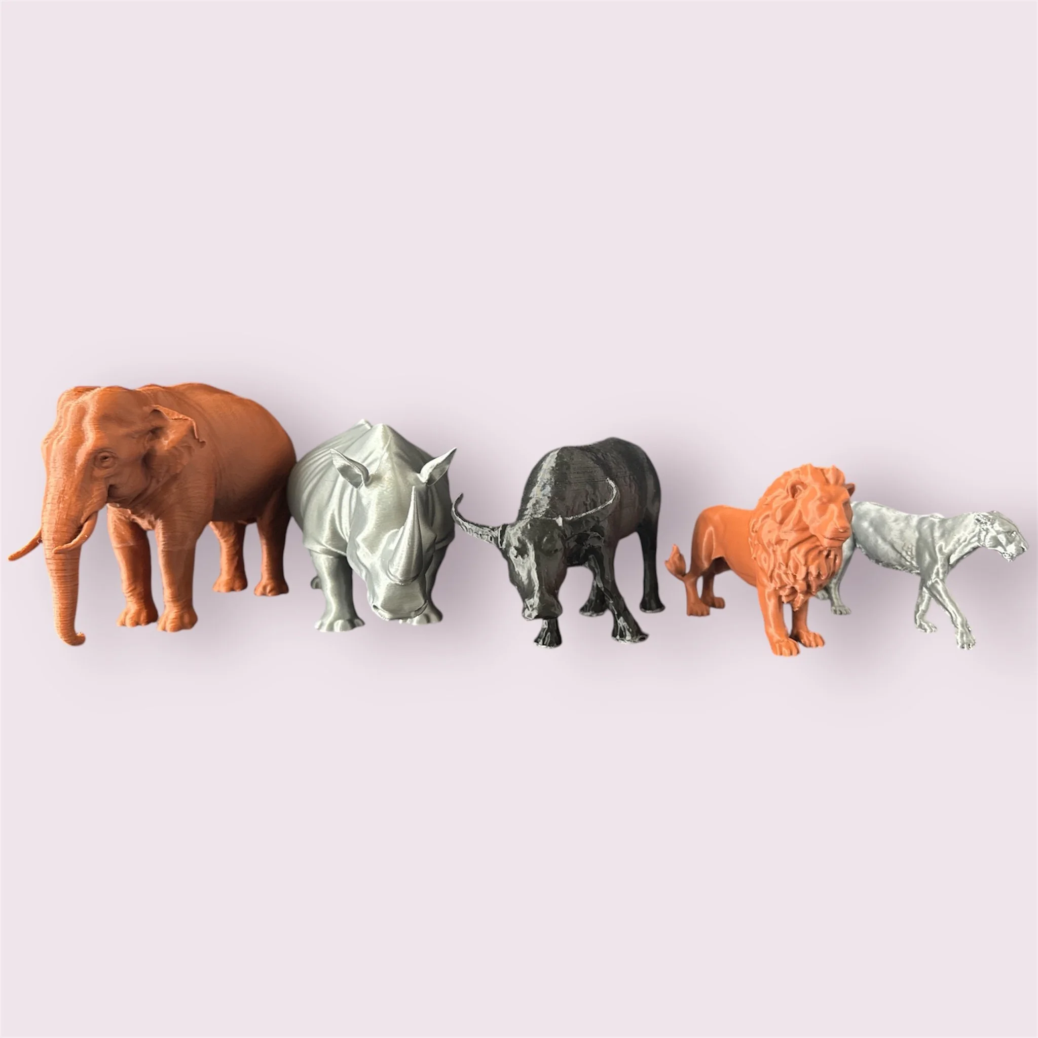 🦁🐘 Big 5 Collection