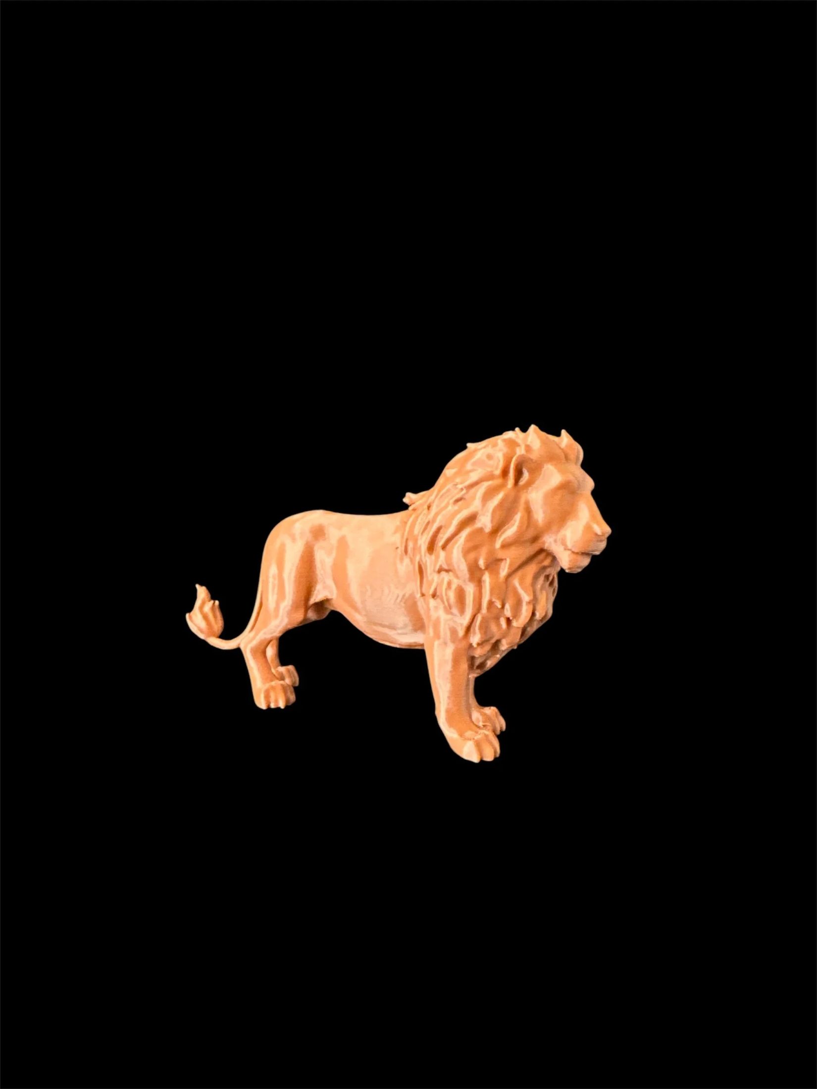 🦁🐘 Big 5 Collection