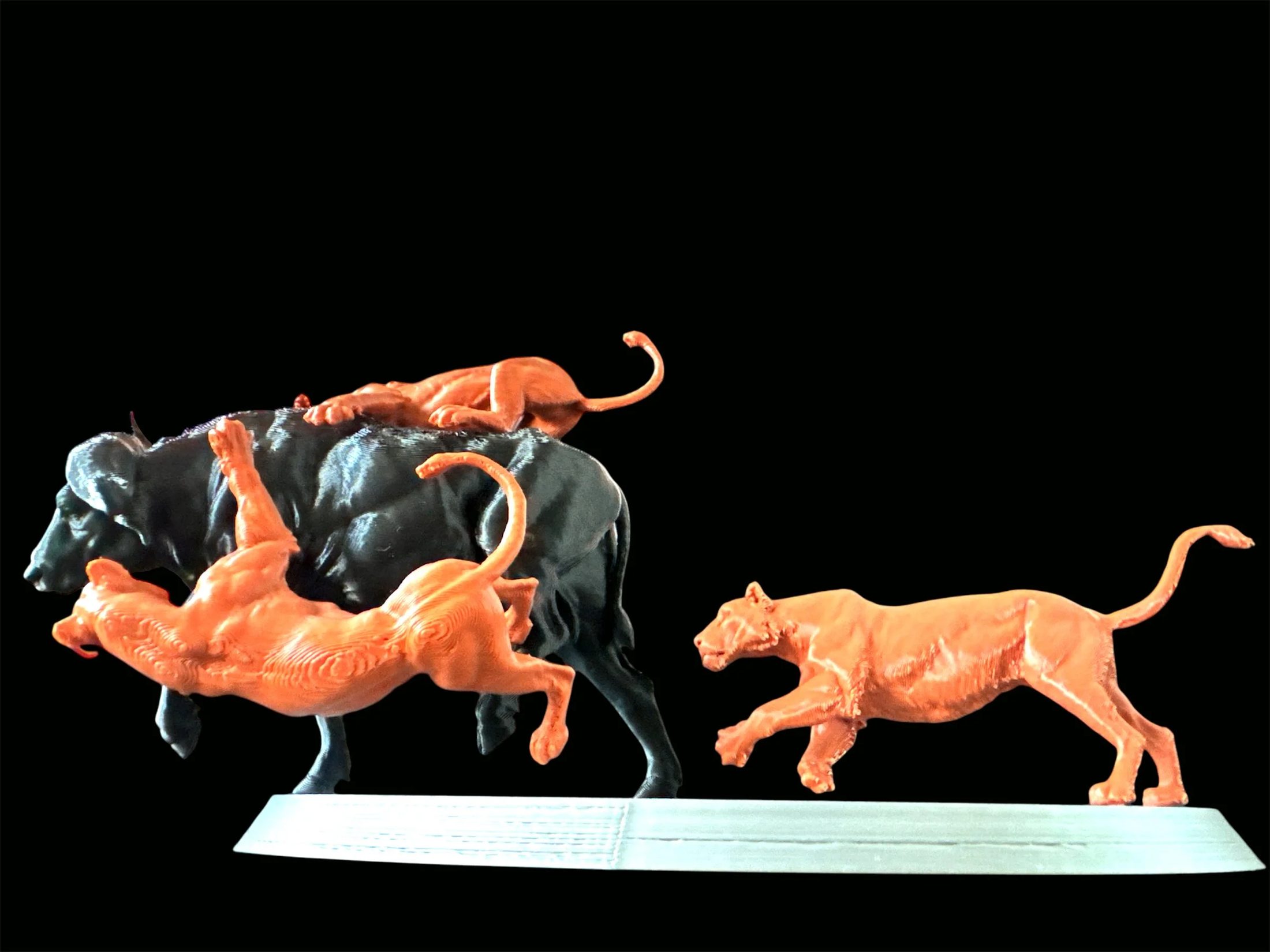 🦁 BIG 5 Hunting