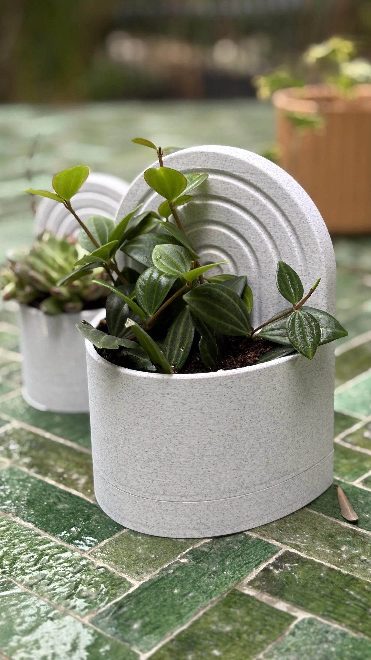Bookend Planter with Reservoir