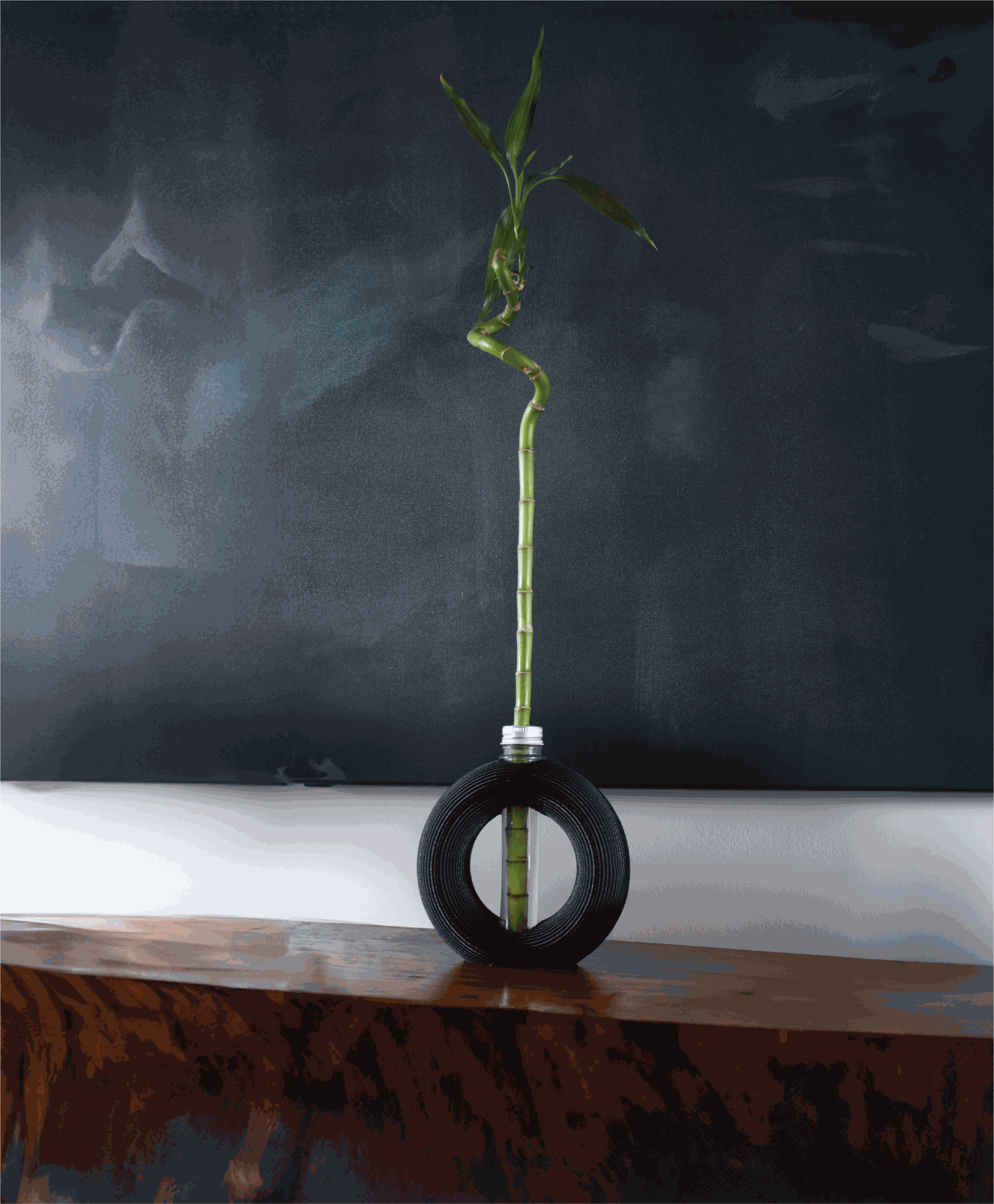 Donut Olant Holder