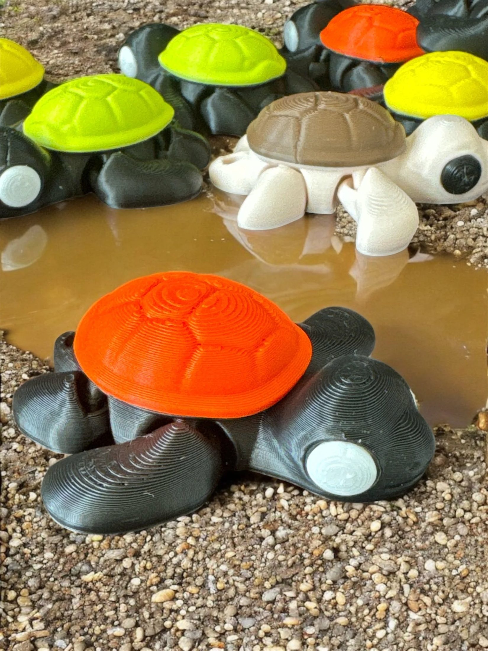 🐢 Flexi Colored Turtle