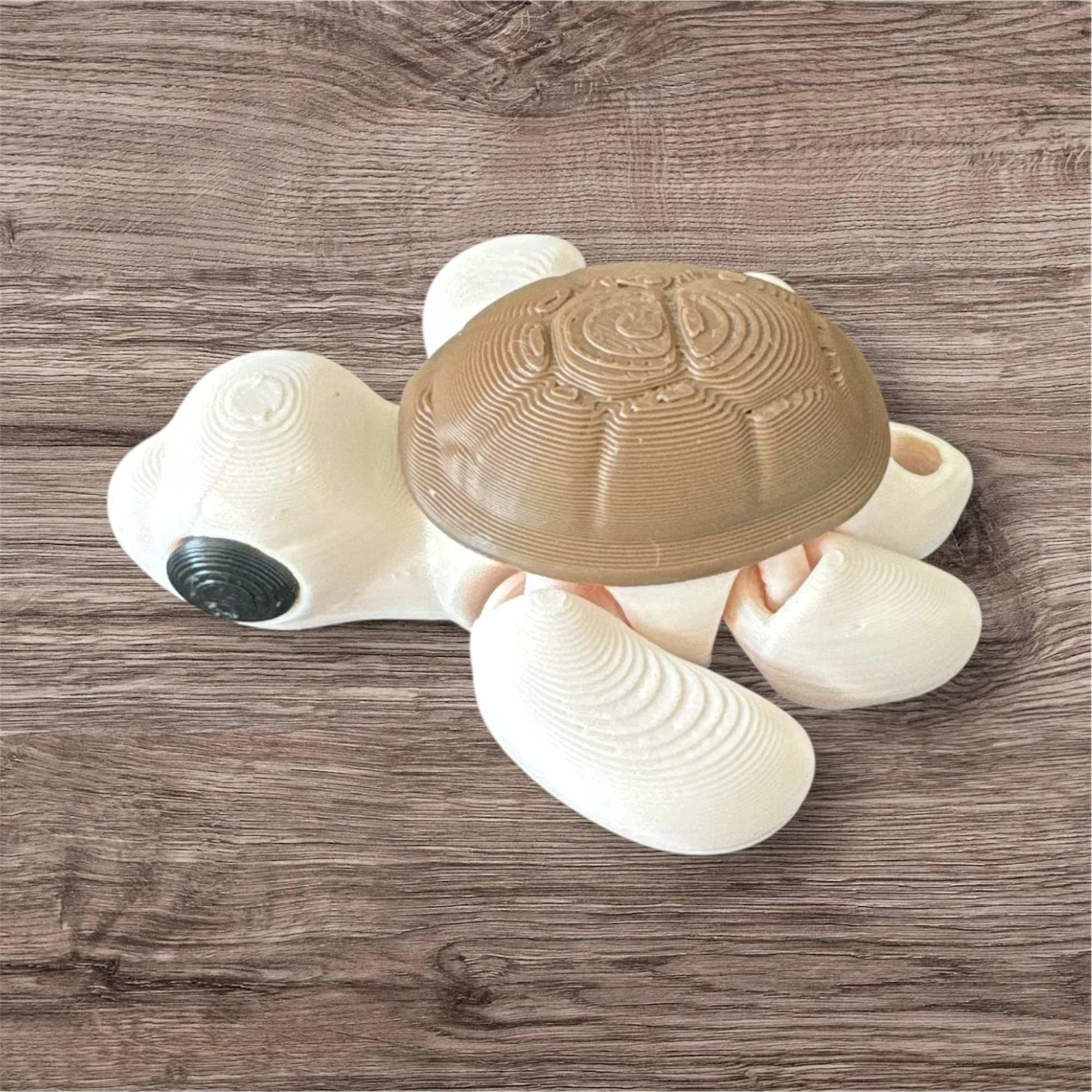 🐢 Flexi Colored Turtle